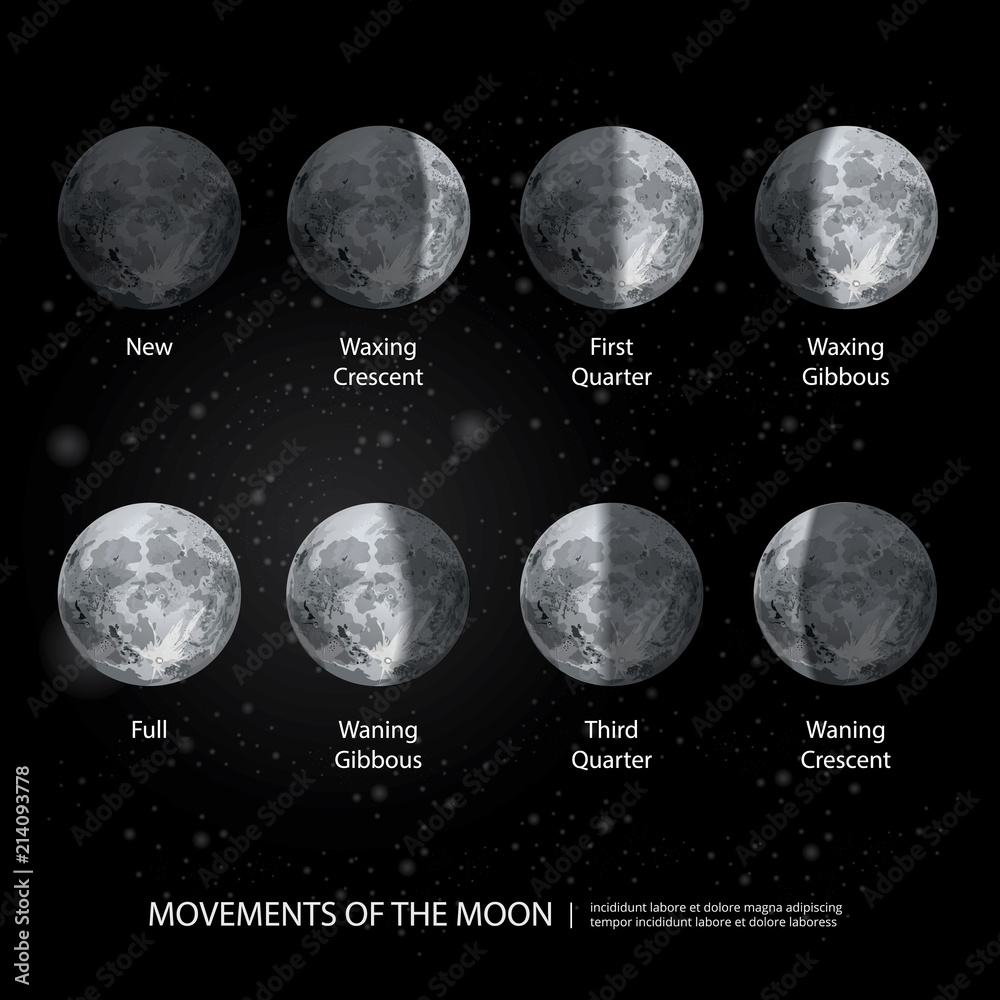 Obraz premium Movements of the Moon Phases Realistic Vector Illustration