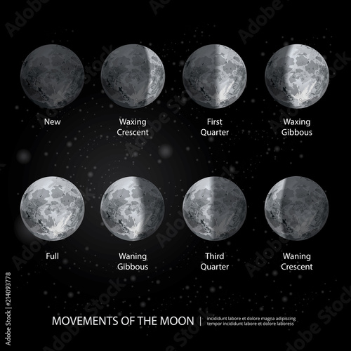 Movements of the Moon Phases Realistic Vector Illustration