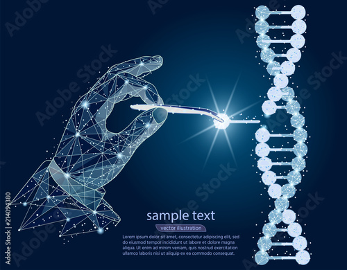 abstract design. Manipulation of DNA double helix with with bare hands, tweezers. isolated from low poly wireframe on white background. Vector abstract polygonal image mash line and point. photo