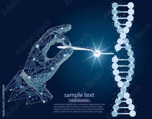 abstract design. Manipulation of DNA double helix with with bare hands, tweezers. isolated from low poly wireframe on white background. Vector abstract polygonal image mash line and point.
