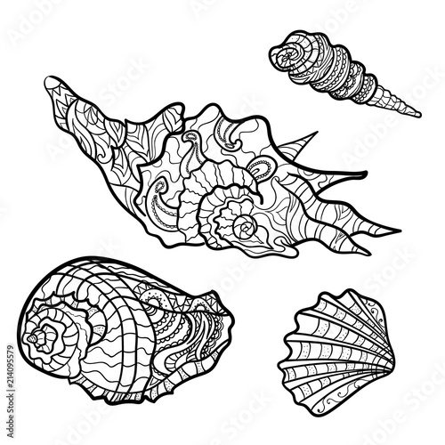 seashells, shell pattern, shell set, coloring book, page. Vector