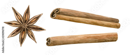 Cinnamon and star anise. Winter spice. Hand drawn watercolor illustration. Isolated on white background.