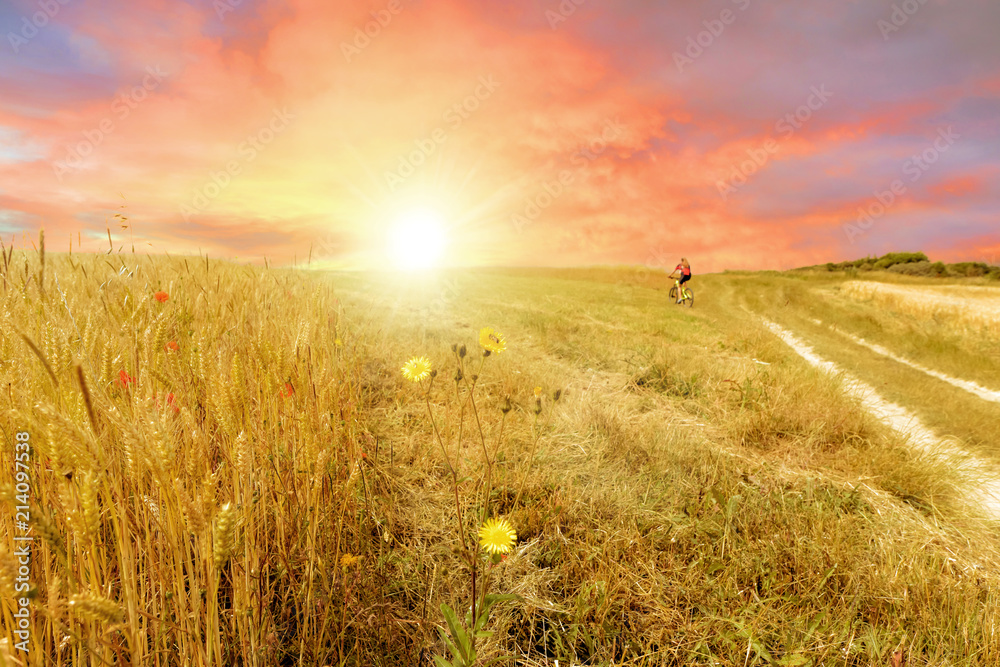 Obraz premium femme en vtt au coucher du soleil