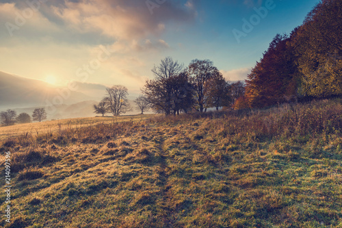 Fototapeta Naklejka Na Ścianę i Meble -  Picturesque sunrise in mountains at fall, sun light and fog