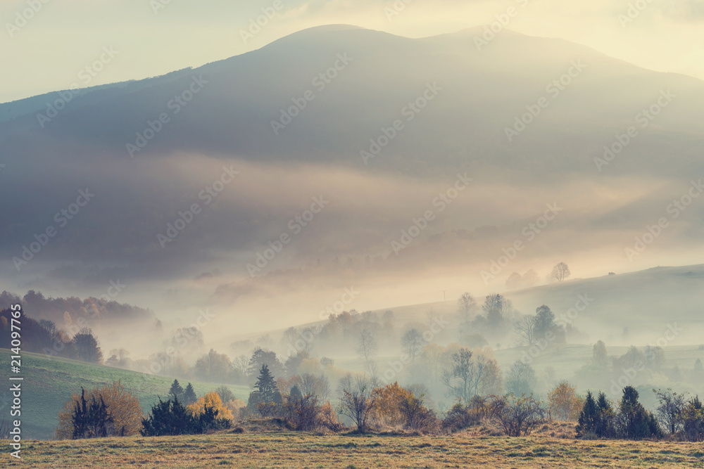 Foggy morning in mountains valley with fall colors - obrazy, fototapety, plakaty 