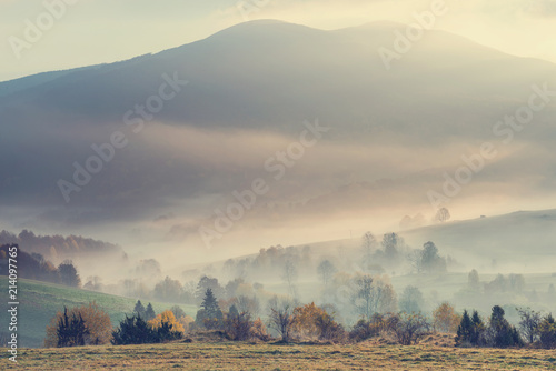 Fototapeta Naklejka Na Ścianę i Meble -  Foggy morning in mountains valley with fall colors