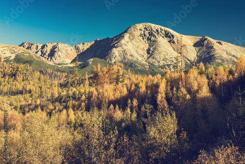 Colorful fall and autumn in mountains and woodland