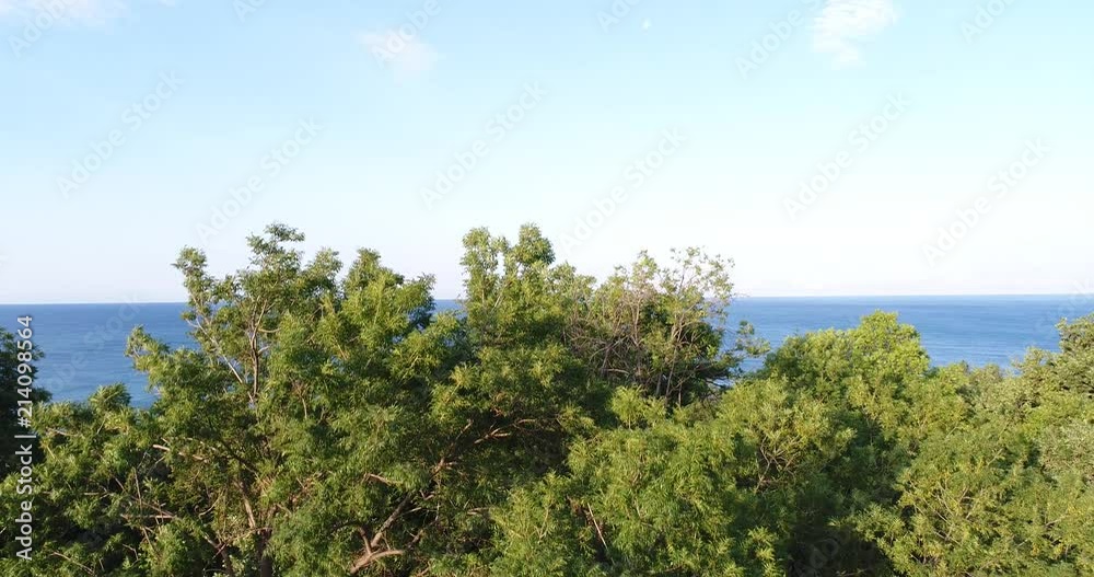 Aerial view, green trees and blue sea. Marine background.