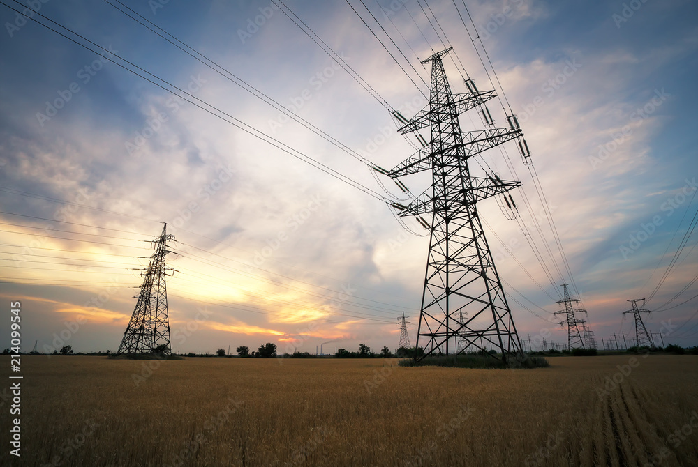 Agricultural field. Yellow wheat and power lines