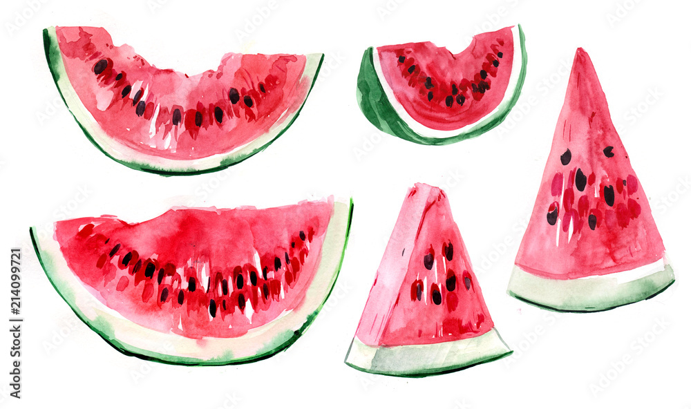 Slices of watermelon. Watercolor illustration Slices of watermelon. Watercolor illustration
