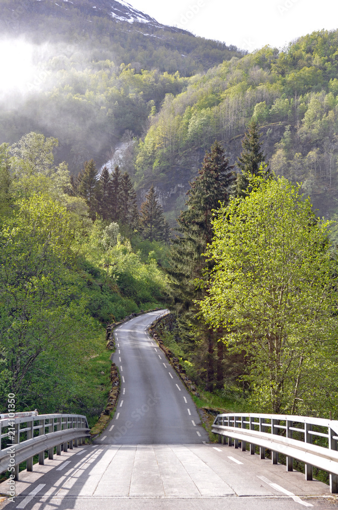 Fog mountain road