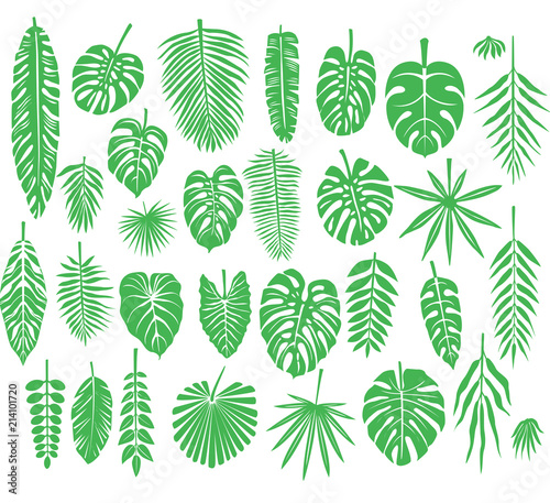 Set of silhouettes Tropical Leaves