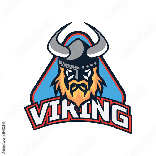 viking warrior logo, vector illustration