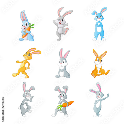cute rabbit cartoon