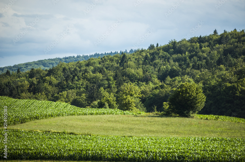 Slovenia: natura, paesaggio, energia verde, prati verdi, alberi e terre coltivate nella campagna slovena
