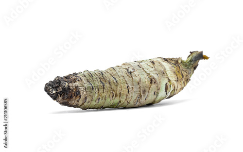 wasabi root isolated on white background