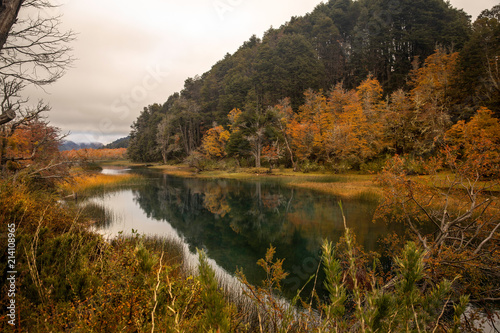 Lago Villarino ubicado en el parque Nacional Nahuel Huapi  Neuquen  Argentina.