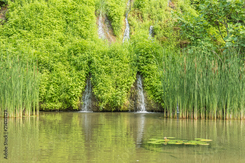 Waterfalls flowing from the grown hill to the lake surrounded by reeds 