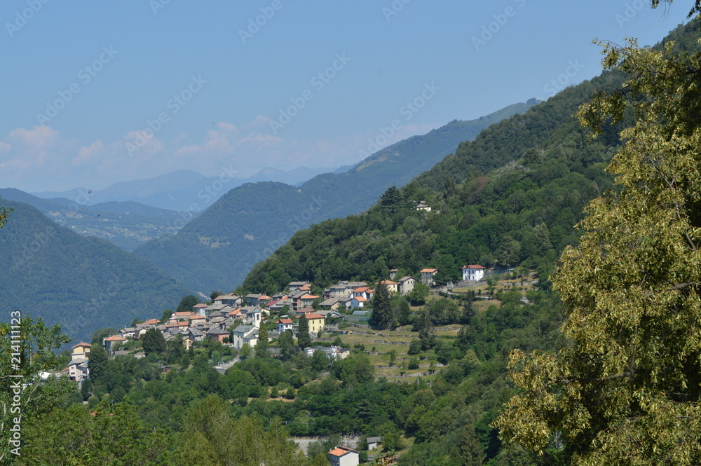 Fototapeta premium panorama