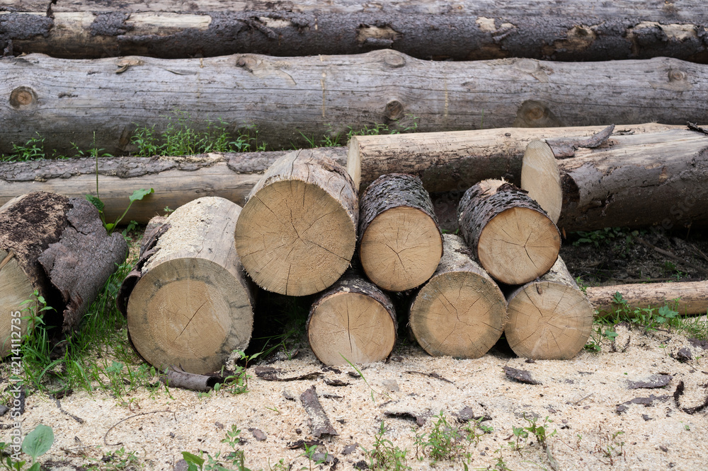Rustic sawmill and forestry industry - sawdust and heap and mound of wooden logs. Rustic sawmill and forestry industry - sawdust and heap and mound of wooden logs.