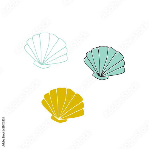 Vector hand drawn sea shells