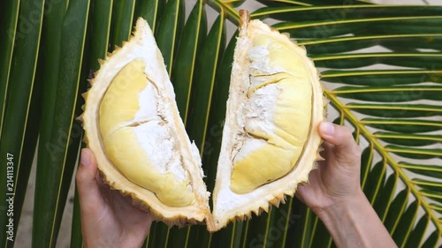 Closeup Of Female Hands Holding Healthy Asian Fruit - Durian. photo