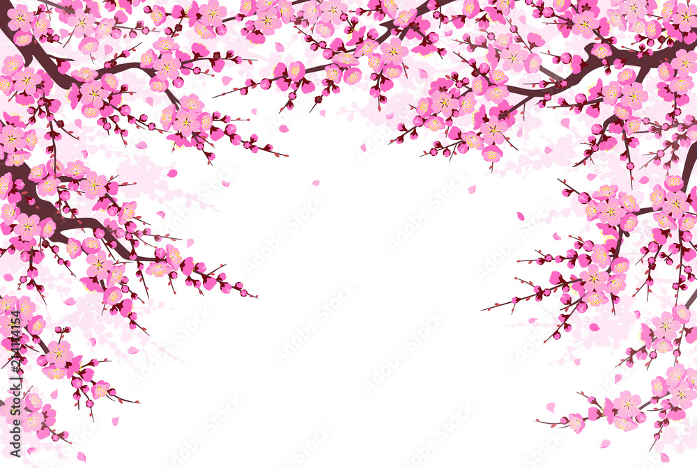 Spring Background with Plum Blossom Branches