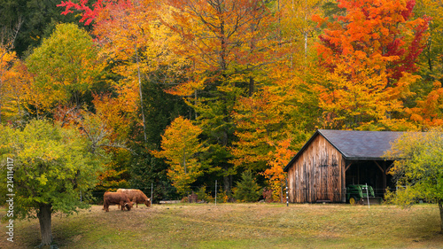 Fall Farm in New England