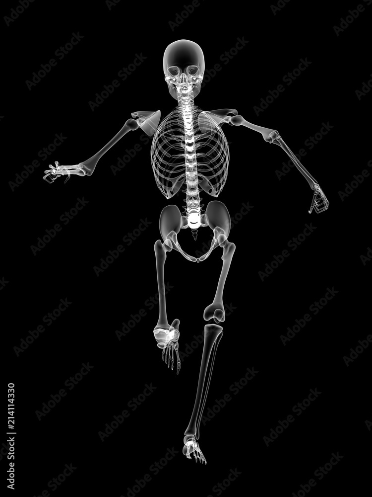 X RAY SKELETON 3D RENDER X RAY SKELETON 3D RENDER