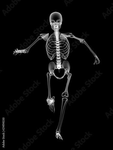 X RAY SKELETON 3D RENDER