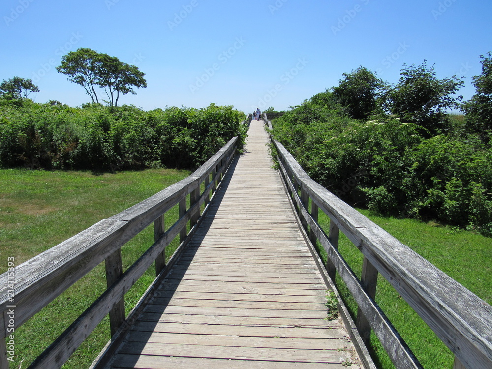 A wooden walkway leading to the ocean 