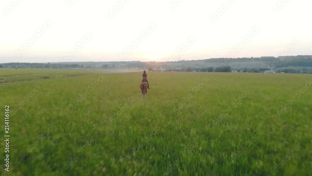 Woman galloping on a field, top view. Aerial.