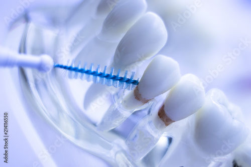 Interdental teeth clean brush