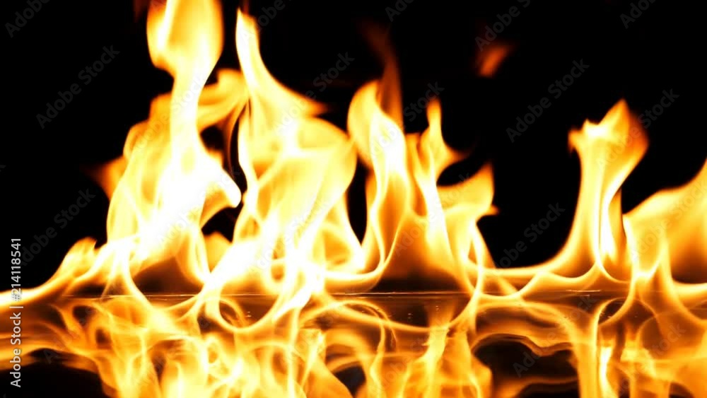 Fire Flames Igniting And Burning - Slow Motion. A line of real flames ignite on a black background. Real fire. Transparent background. PNG + Alpha Fire Flames Igniting And Burning - Slow Motion. A line of real flames ignite on a black background. Real fire. Transparent background. PNG + Alpha