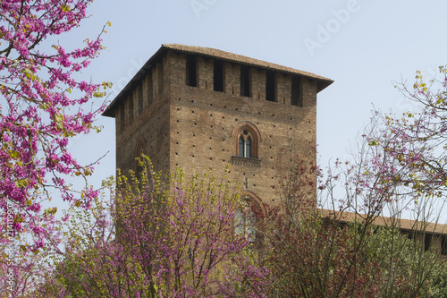 torre del castello visconteo di pavia in lombardia italia