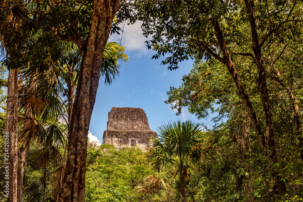 Tikal, Mayan Ruins, Temple IV, Guatemala