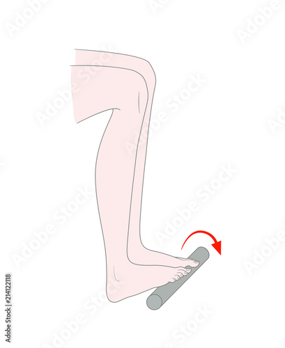 The lower half of the woman's body in an exercise pose for the development of flexibility of the toes. Vector. Isolated on white background