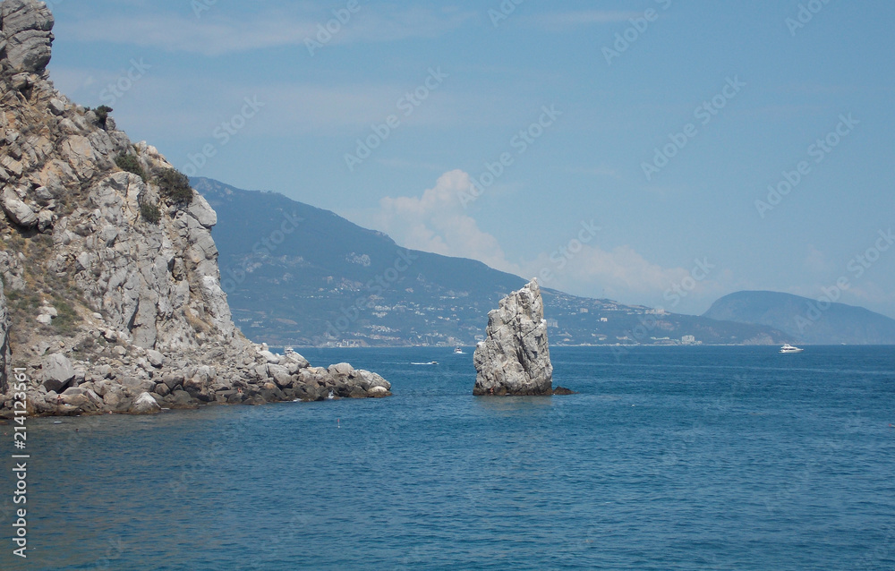 Fototapeta premium mountain cat