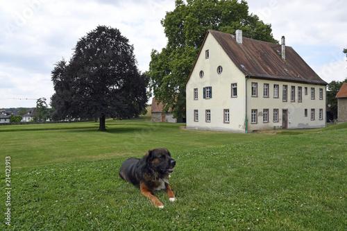 ein hund liegt im areal unesco welterbe kloster lorsch photo