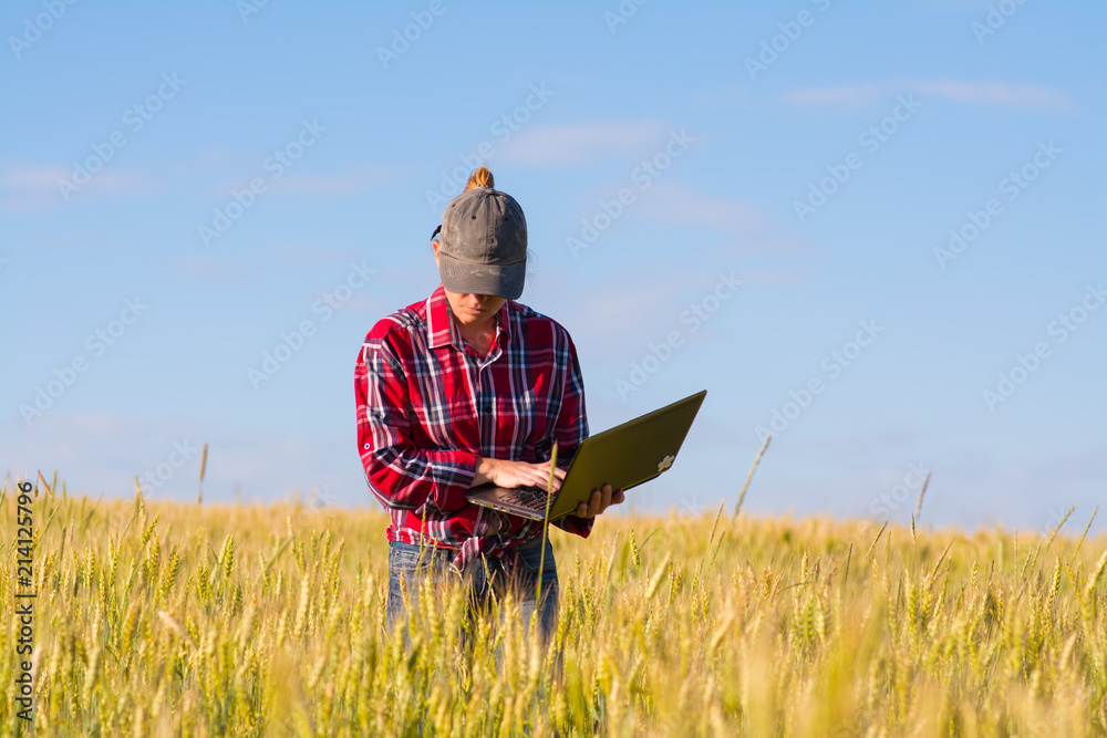 Girl farmer standing in a wheat field with a laptop.
Girl farmer standing in a wheat field with a laptop.