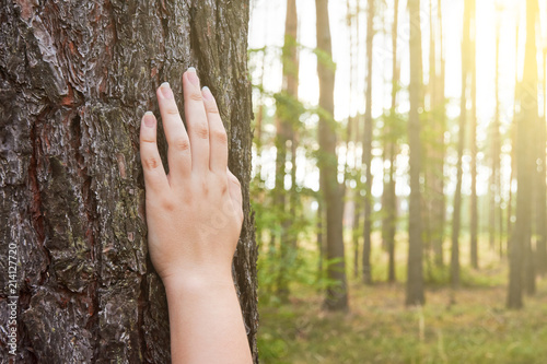 A young woman holds her hand on the trunk of a tree in the forest with sunlight