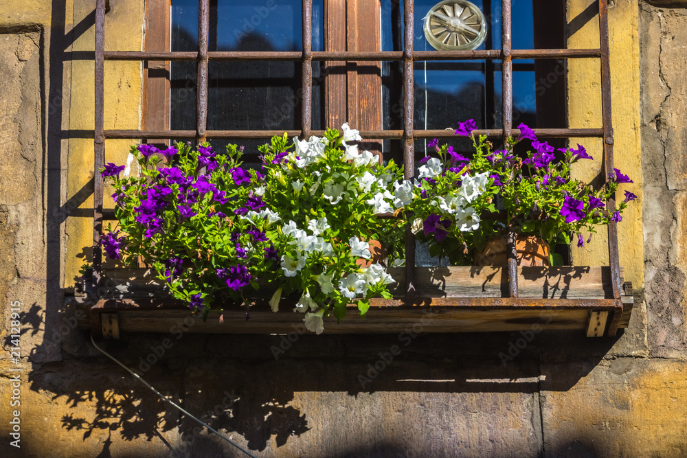 Pot with flowers in a typical street of old city florence Pot with flowers in a typical street of old city florence