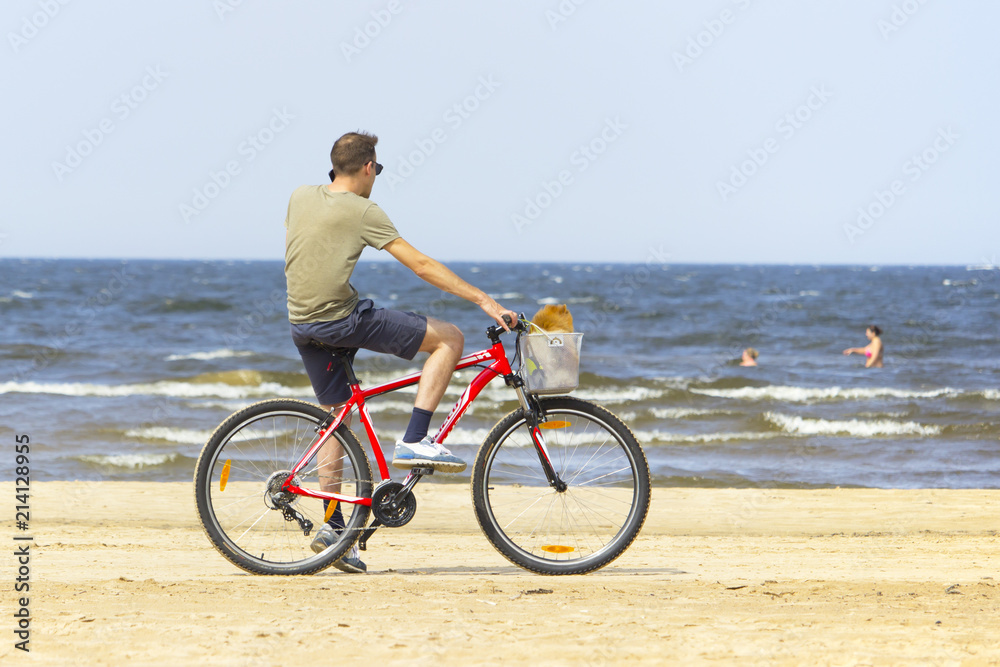 Fototapeta premium the man is sitting on a bicycle, the beach 