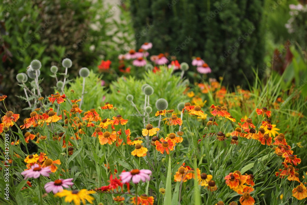 Perennial flower bed