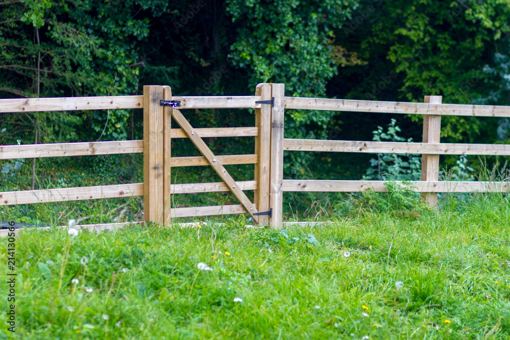 A simple and plain new wooden fence stretching along a meadow before a wood in the English countryside