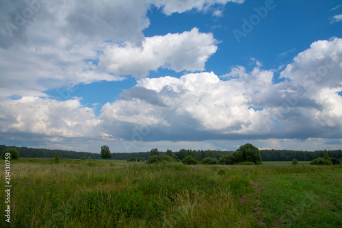 White clouds floating above the field © denklim