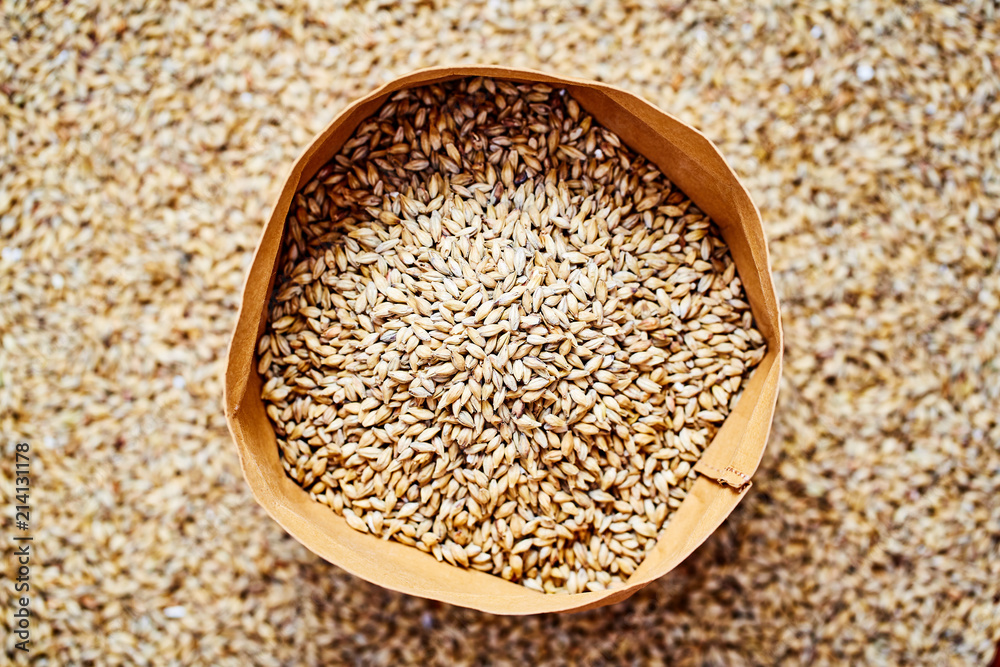Pale Ale barley malt, used for the production of craft and home beer. Pale Ale barley malt, used for the production of craft and home beer.