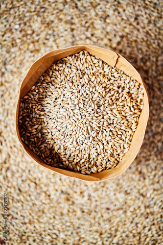 Pale Ale barley malt, used for the production of craft and home beer.