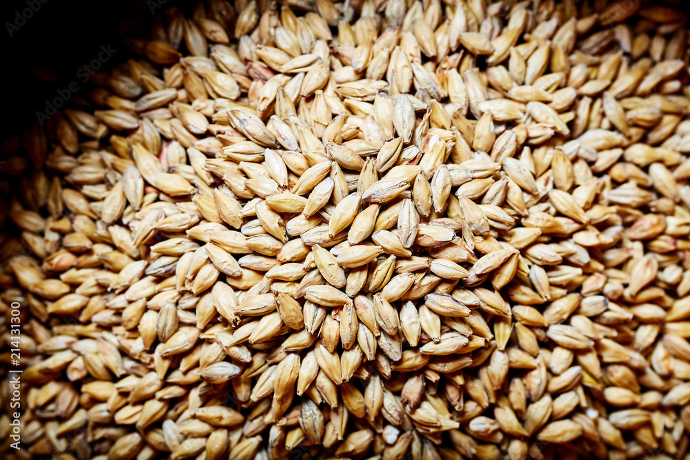 Pale Ale barley malt, used for the production of craft and home beer. Pale Ale barley malt, used for the production of craft and home beer.