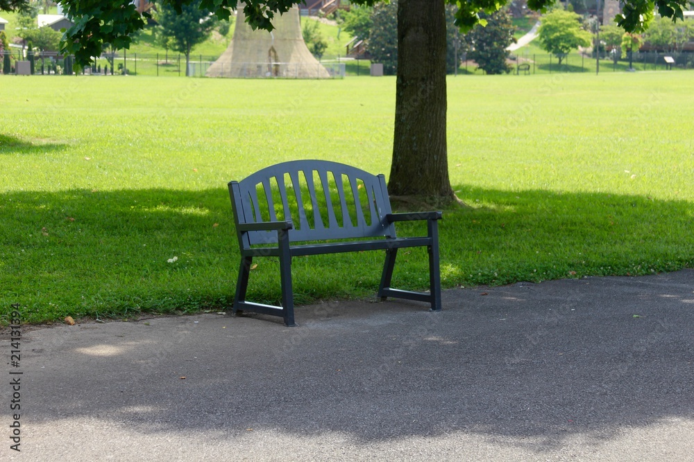 The empty black park bench in the park.